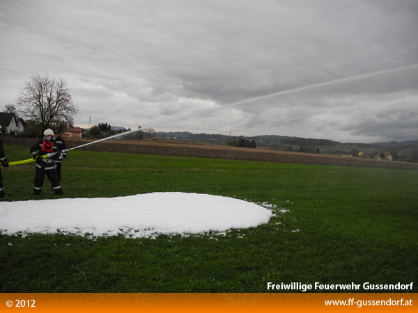 DSCN0514.JPG